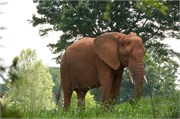 25499_Asheboro