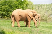 25507_Asheboro