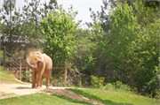 25516_Asheboro