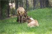 25570_Asheboro