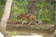 25585_Asheboro