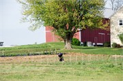 25880_Pennsylvania