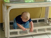 26725_Disney2012