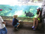 26122_Disney2012