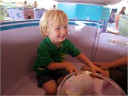 26259_Disney2012