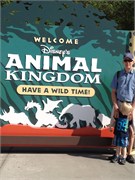 26657_Disney2012