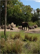 26662_Disney2012