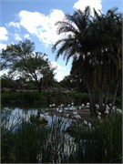 26665_Disney2012