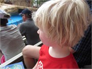26174_Disney2012