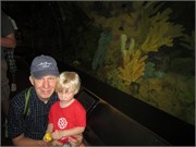 26179_Disney2012