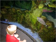 26184_Disney2012