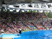 26191_Disney2012