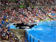 26213_Disney2012