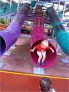 26491_Disney2012
