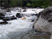 26924_Watauga