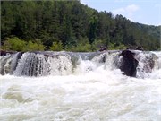 27457_Ocoee