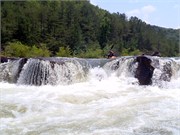 27458_Ocoee