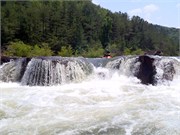 27459_Ocoee