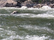 28556_New_River