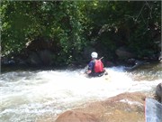 29504_Yough