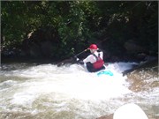 29538_Yough