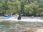 29582_Yough