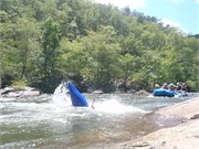 29594_Yough