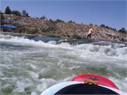 31109_Carl