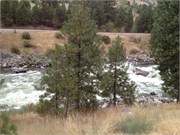 30488_McCall