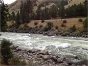 30490_McCall