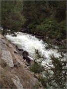 30491_McCall