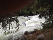 30492_McCall
