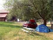 30495_McCall