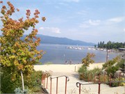 30504_McCall