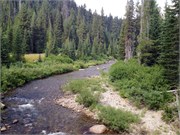 30518_McCall
