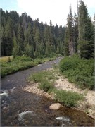 30519_McCall