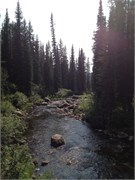 30520_McCall