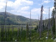 30521_McCall