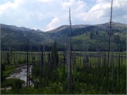 30522_McCall