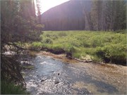 30523_McCall