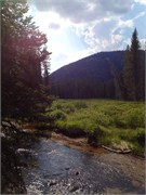 30524_McCall
