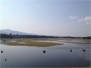 30527_McCall