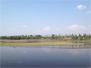 30528_McCall