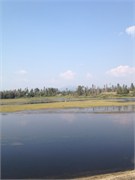 30529_McCall