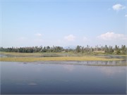 30530_McCall