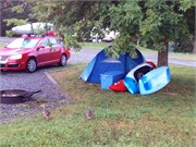 30412_Gauley