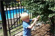 30103_Kiddles