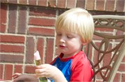30299_Kiddles