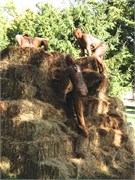 33022_LVille