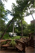 32799_Tree